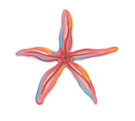 Hand drawn starfish. Marine animal, cartoon art