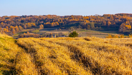 Autumn panoramic view of hills with fields and meadows with mixed forest surrounding Zagorzyce village south Sedziszow Malopolski town in Podkarpacie region of Lesser Poland - obrazy, fototapety, plakaty