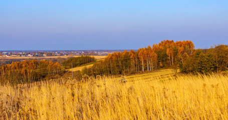 Autumn panoramic view of hills with fields and meadows with mixed forest surrounding Zagorzyce village south Sedziszow Malopolski town in Podkarpacie region of Lesser Poland - obrazy, fototapety, plakaty