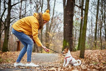 Obraz premium Woman with dog walk in autumn park