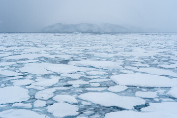 Ice floes in Antarctica with mountain in background