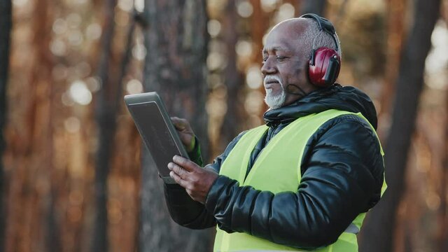 Closeup elderly forestry engineer enters data into logging tablet reforestation of woodland serious professional worker in protective earphones mature african american foreman forester oversees forest