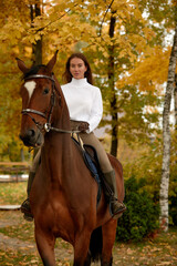 Beautiful brunette on a horse on the background of an autumn landscape. Horseback riding, active horseback riding
