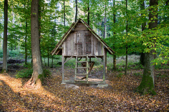 An old wooden hut with a feeder stands in the woods among the green deciduous trees. Autumn leaves lie on the ground.