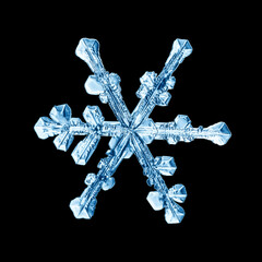 snowflake isolated on black background natural photo crystal winter design