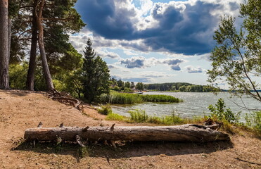 Fototapeta na wymiar Summer landscape with river, sandy shore with pine logs, trees, grass and sky with clouds