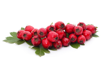 Bunch of hawthorn berries and leaves.