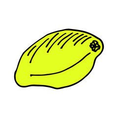 Lemons yellow colors drawn on a white background. Vector drawing of fruits.