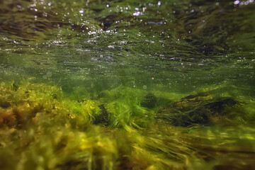 abstract underwater background in the lake, clean freshwater