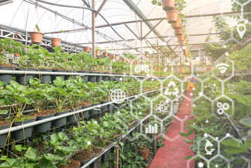 Smart farm technology agriculture with a plant and virtual icon at the background.