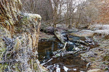 Waldbach in der Winterstimmung
