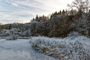 Winterstimmung am Waldsee mit Raureif