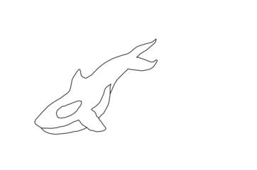 orca