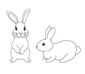 Cute rabbit in different poses. Vector illustration lovely bunny in outline style isolated on white background. Easter simbol animal for coloring page