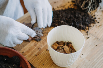 Spring Houseplant Care, repotting houseplants. Planting Houseplants In Pots, drainage layer for Houseplants. Small pebbles, hydrogranules, clay granules as drainage in plant pot