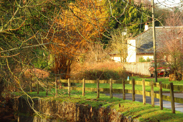 Scenes around Ewyas Harold in the winter