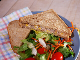 Tuna sandwich with healthy salad overhead shot