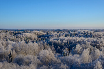 Landscape with snow covered trees