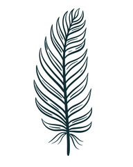 Stylized bird feather isolated vector illustration. Hand sketch feather in boho style