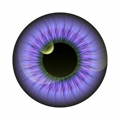 Realistic Colored eye iris pupil isolated. Vector. Very peri color