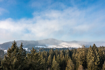 Snow-covered landscape at Christmas time in Hinterzarten in the Upper Black Forest, Germany