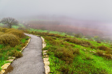Countryside, vineyard, foggy winter day. Tel Kedesh, Upper Galilee