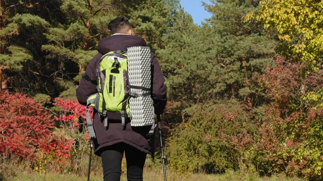 Active healthy Young man traveling with backpack and trekking poles in wood. Athletic strong with lots of stamina stayer male traveler walking in Autumn forest along, rear view, bio-tourism, hiking