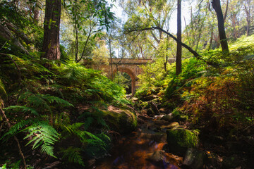 Lennox Bridge with the surrounding environment, Sydney, Australia.