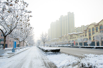 Beautiful city park, street snow