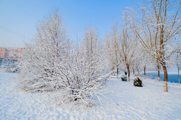 Beautiful city park, street snow