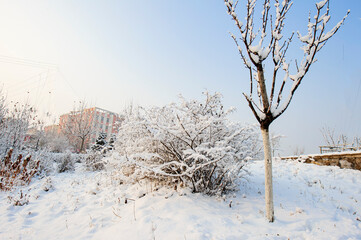 Beautiful city park, street snow