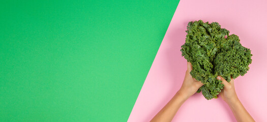 Hands holding a bunch of fresh kale leaves over light green and pastel pink background. Healthy...