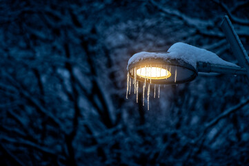Icicles on a street lamp in the winter forest
