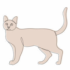 cat sketch, outline, vector, isolated