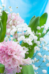 Bouquet of pink Hyacinth, green leaves, little white flowers of Gypsophila