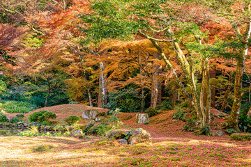 秋の清水寺本坊庭園　福岡県みやま市　Kiyomizudera Honbo Garden in Autumn. ...