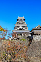 Fototapeta premium 修復された秋の熊本城 熊本県熊本市 Restored autumn Kumamoto castle. Kumamoto-ken Kumamoto city