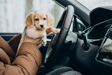Woman with her cute dog sitting in car