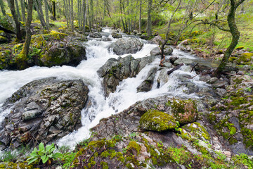 Obraz premium Rio Iruelas. Sierra de Gredos. Avila. España. Europa.