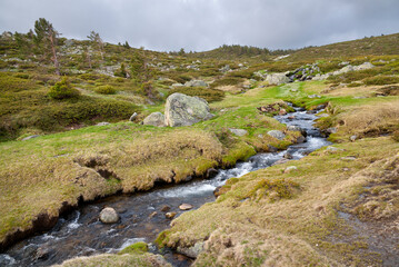Arroyo de La Laguna en Peñalara. Madrid. España. Europa.