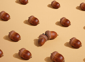 Pattern with brown acorns. Double acorns in the center. Creative autumn composition.