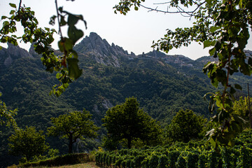 Basilicata - Pietrapertosa e le piccole dolomiti Lucane