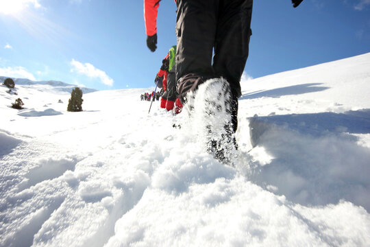 Winter sports. Mountaineering. Group activities.
