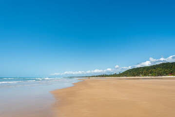 Beach landscape in the northeastern region of Brazil