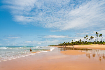 Tourists enjoying a sunny day in a wild tropical beach in Brazil