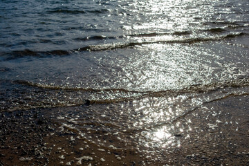 water drops on a leaf