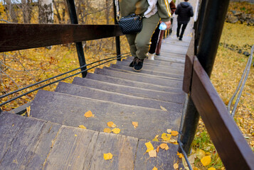 People climb the wooden stairs in the forest park