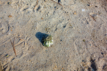 footprint on the sand