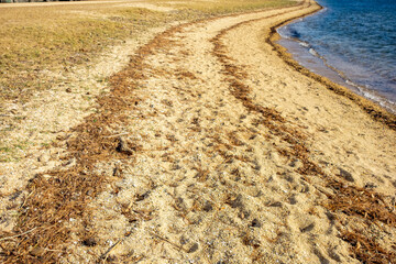 sand dunes on the beach