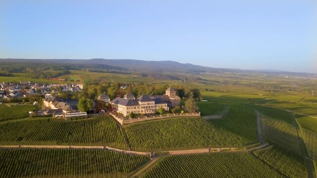 Luftaufnahme mit Drohne im Rheingau bei den Weinbergen von Schloss Johannisberg zwischen Eltville und R&uuml;desheim am Rhein, Hessen Deutschland	
